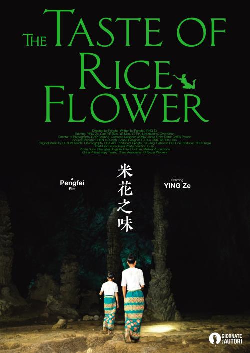 哪里能办理中非